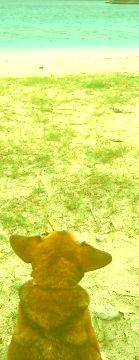 �􂤁`�݂�`�A�I���̂��`�݂�`��